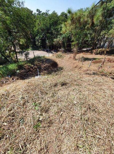 Terreno, 1239 m² - Foto 5