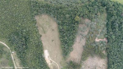 Terreno, 3 hectares - Foto 2
