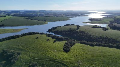 Fazenda, 175 hectares - Foto 4