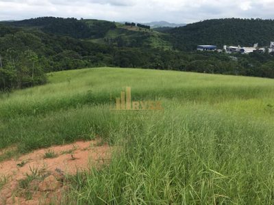 Terreno, 22 hectares - Foto 3