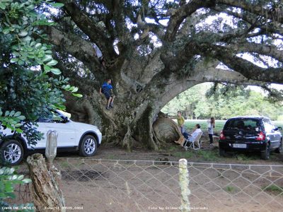 Fazenda, 16 hectares - Foto 2