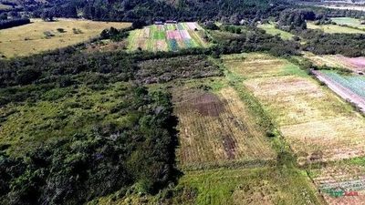 Sítio, 1 quarto, 261499 m² - Foto 5