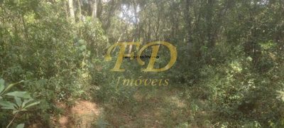 Terreno, 4 hectares - Foto 4