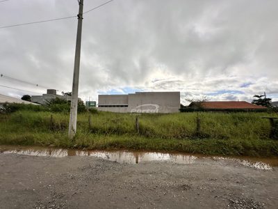 Terreno, 562 m² - Foto 3
