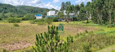 Terreno, 5 hectares - Foto 2