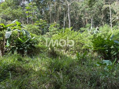 Chácara, 7 hectares - Foto 2