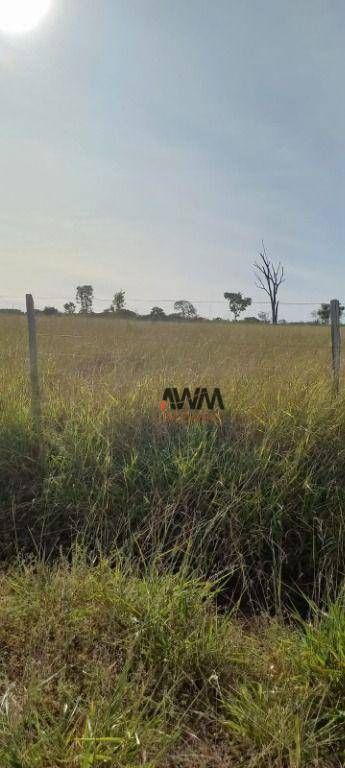 Fazenda, 213 hectares - Foto 5