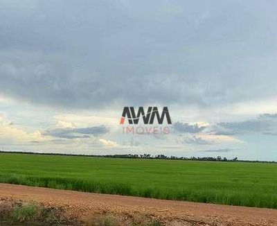 Fazenda, 7260 hectares - Foto 1