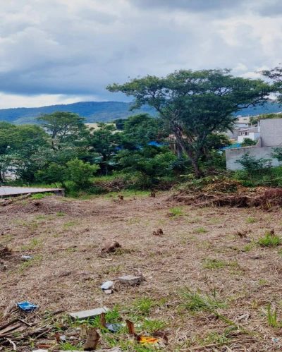 Terreno - Foto 4