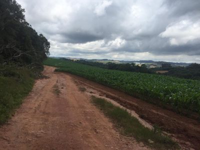 Fazenda, 179 m² - Foto 1
