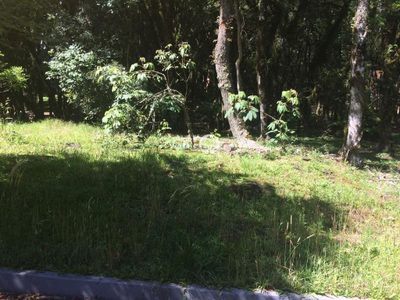 Terreno, 1242 m² - Foto 3