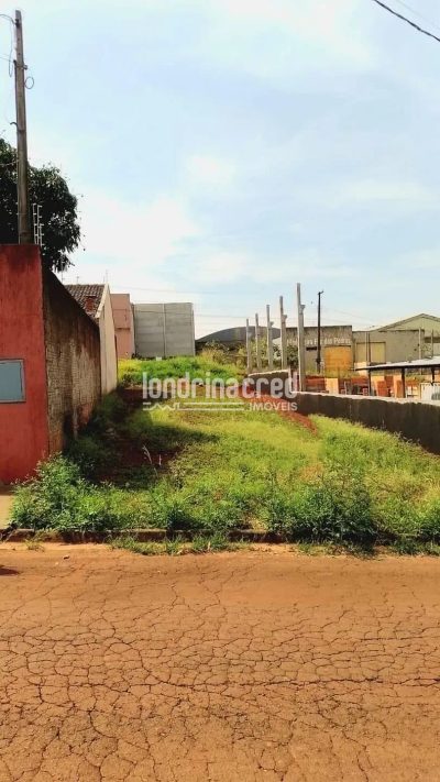 Terreno, 250 m² - Foto 4
