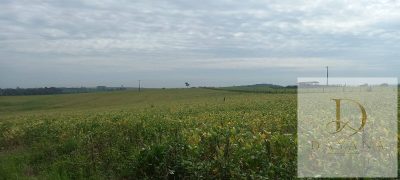 Terreno, 38 m² - Foto 4