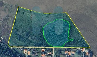 Terreno, 6 hectares - Foto 1