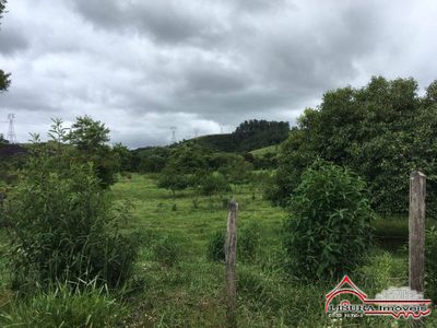 Terreno, 9800 m² - Foto 3