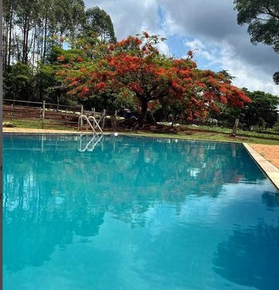 Sítio, 4 quartos, 2 hectares - Foto 3