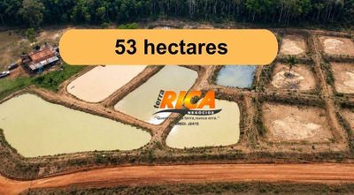 Sítio, 53 hectares - Foto 1