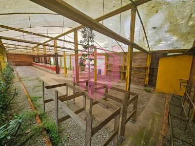 Terreno, 3231 m² - Foto 5