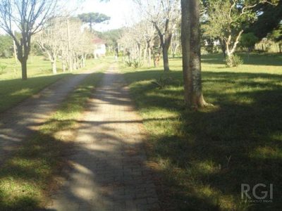 Sítio, 3 quartos, 4 hectares - Foto 4