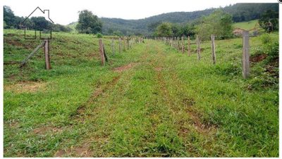 Terreno, 2 hectares - Foto 4