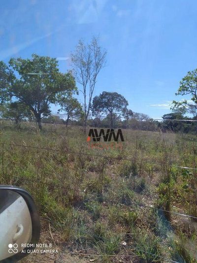 Fazenda, 1646 hectares - Foto 3