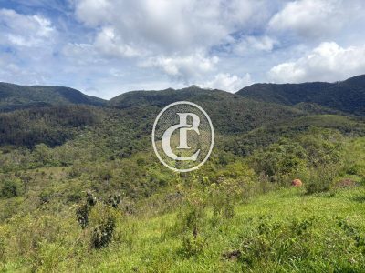 Terreno, 34 hectares - Foto 3