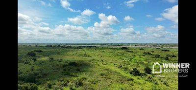 Fazenda, 2800 hectares - Foto 3