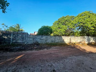 Casa, 3 quartos, 445 m² - Foto 1