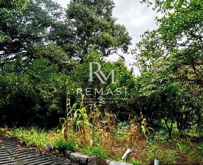 Terreno, 2300 m² - Foto 5