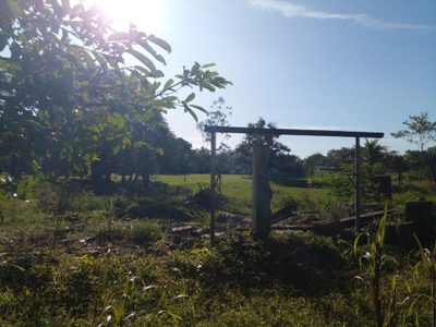 Terreno, 9800 m² - Foto 4