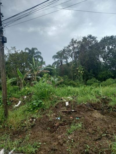 Terreno, 1000 m² - Foto 3