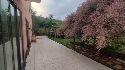 Sítio, 5 quartos, 4000 m² - Foto 5