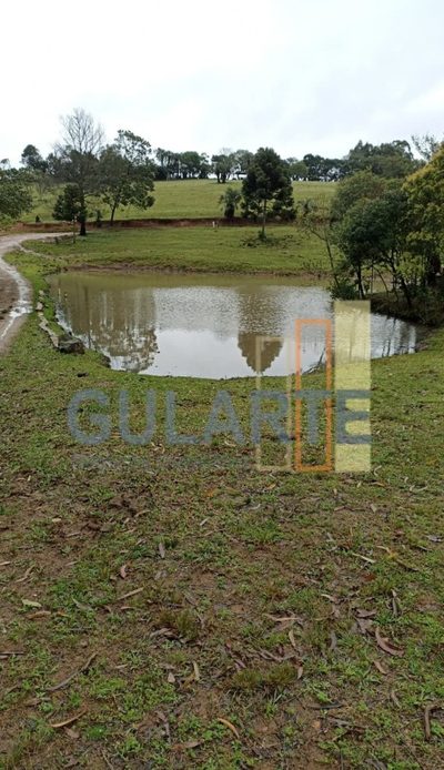Chácara, 13 hectares - Foto 4
