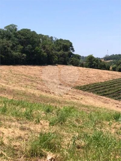 Terreno, 2 hectares - Foto 2