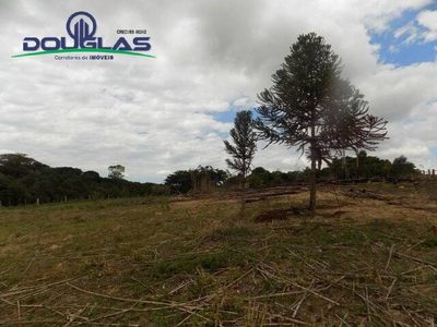 Terreno - Foto 3