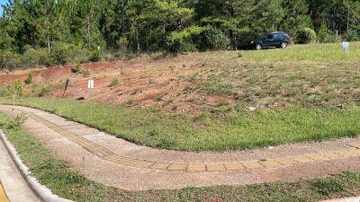 Terreno, 185 hectares - Foto 4