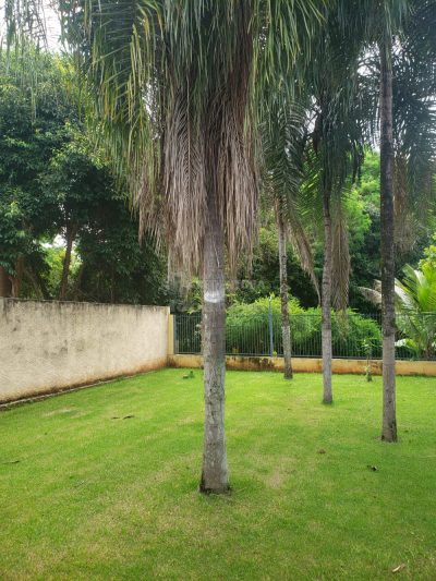 Chácara, 4 quartos, 1100 m² - Foto 5