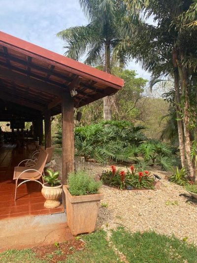 Sítio, 7 quartos, 5 hectares - Foto 4