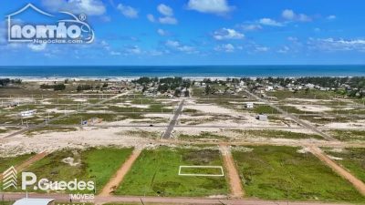 Casa, 300 m² - Foto 2