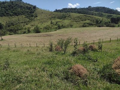 Fazenda, 133 hectares - Foto 2