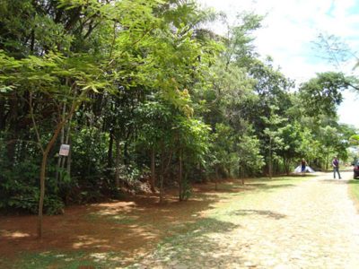 Terreno, 5120 m² - Foto 1