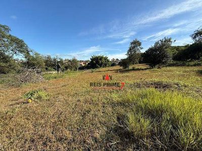 Terreno, 13 hectares - Foto 3