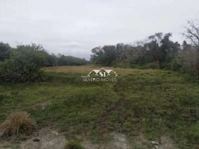 Sítio, 3 quartos, 50 hectares - Foto 2