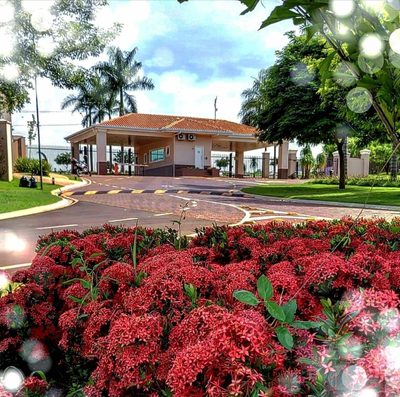 Terreno, 500 m² - Foto 3