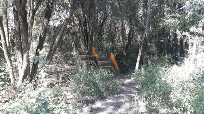 Terreno, 19 hectares - Foto 3