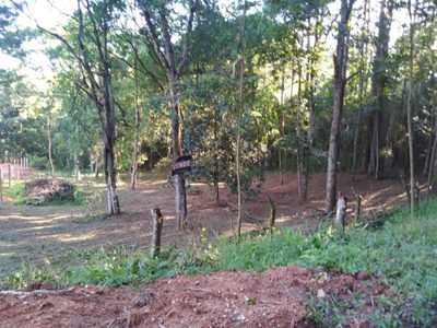 Terreno, 3799 m² - Foto 3