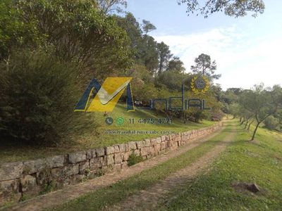 Terreno, 10 hectares - Foto 4