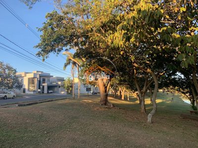 Terreno, 300 m² - Foto 4