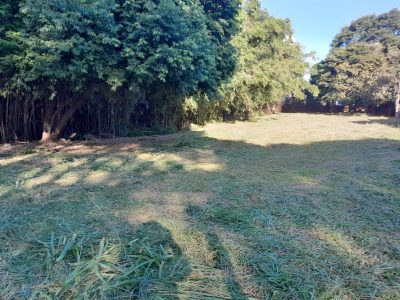 Terreno, 1000 m² - Foto 5