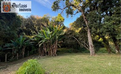 Chácara, 3 quartos, 1 hectares - Foto 3